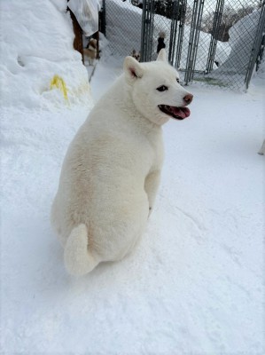 楽しもう☆